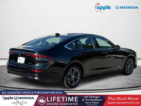 Used 2025 Honda Accord EX-L image 3