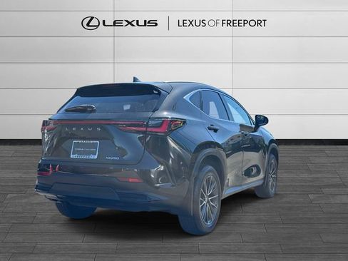 Certified 2024 Lexus NX 250 FWD w/ Cold Area Package image 4