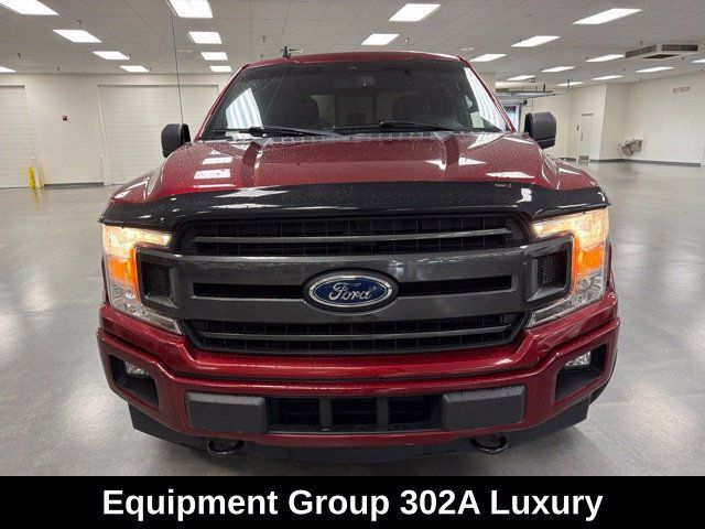 Used 2019 Ford F150 XLT w/ Equipment Group 302A Luxury AWD/4WD image 2