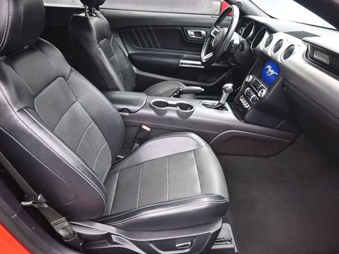 Used 2019 Ford Mustang Premium image 14