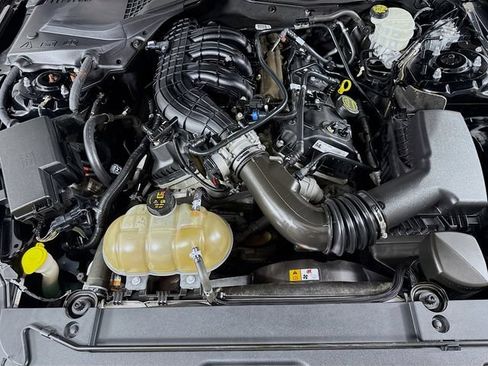 Used 2017 Ford Mustang Coupe RWD image 25