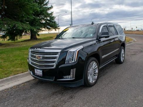 Used 2016 Cadillac Escalade Platinum image 1
