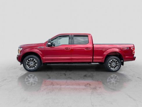 Used 2019 Ford F150 XLT w/ Equipment Group 302A Luxury AWD/4WD image 3