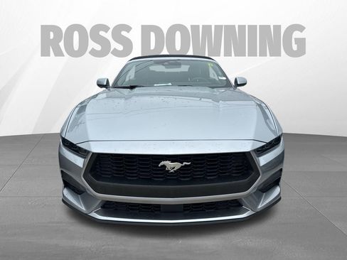 Used 2025 Ford Mustang Premium RWD image 2