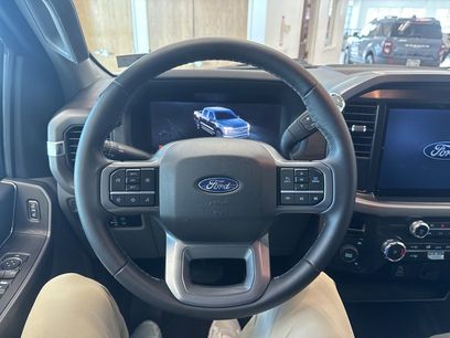 Used 2025 Ford F150 XLT w/ Equipment Group 301A Standard