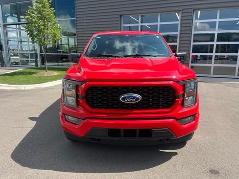 Used 2023 Ford F150 XL w/ STX Appearance Package AWD/4WD image 2