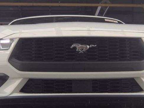 Used 2024 Ford Mustang Premium image 2