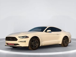 Used 2019 Ford Mustang Premium w/ Equipment Group 201A RWD video 2