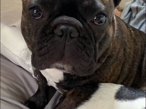 Used 2021 Ford F150 XLT image 45