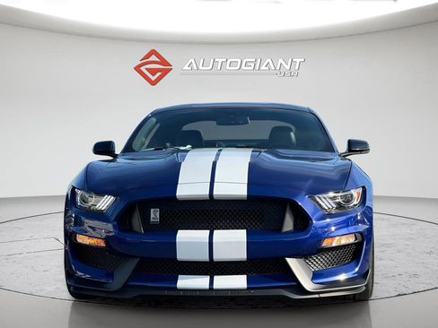 Used 2016 Ford Mustang Shelby GT350 w/ Technology Package RWD image 12