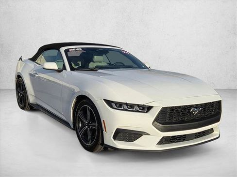 Used 2024 Ford Mustang Premium image 3