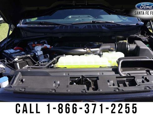 New 2025 Ford F150 XLT w/ Equipment Group 302A MID image 38