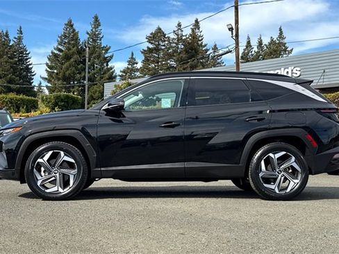 Used 2024 Hyundai Tucson Limited image 10