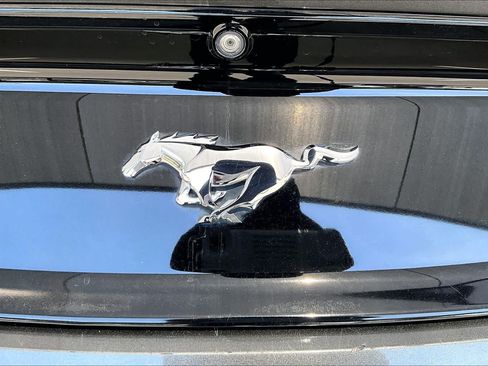 Used 2015 Ford Mustang Premium w/ Equipment Group 201A RWD image 30