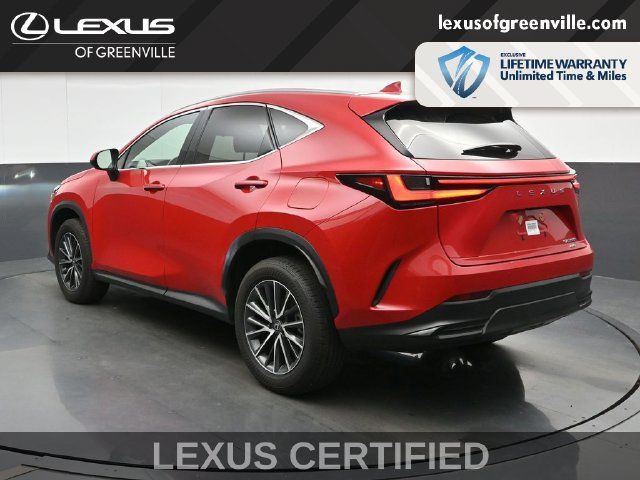 Used 2025 Lexus NX 350h AWD w/ Cold Area Package image 6