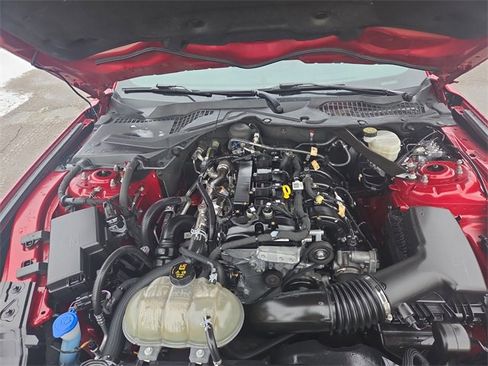 Certified 2023 Ford Mustang EcoBoost w/ Equipment Group 101A image 12