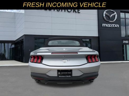 Used 2024 Ford Mustang Premium image 4