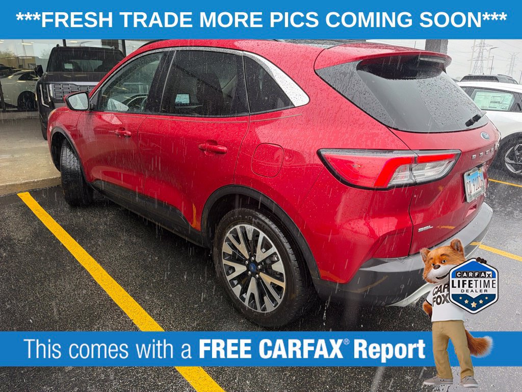 Used 2020 Ford Escape SEL AWD/4WD image 5