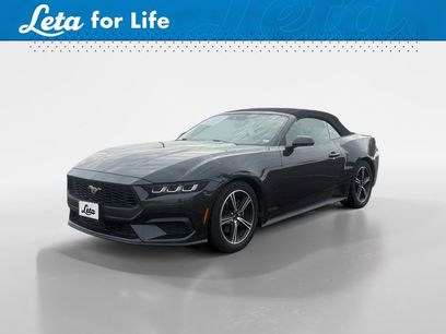 Used 2024 Ford Mustang Premium