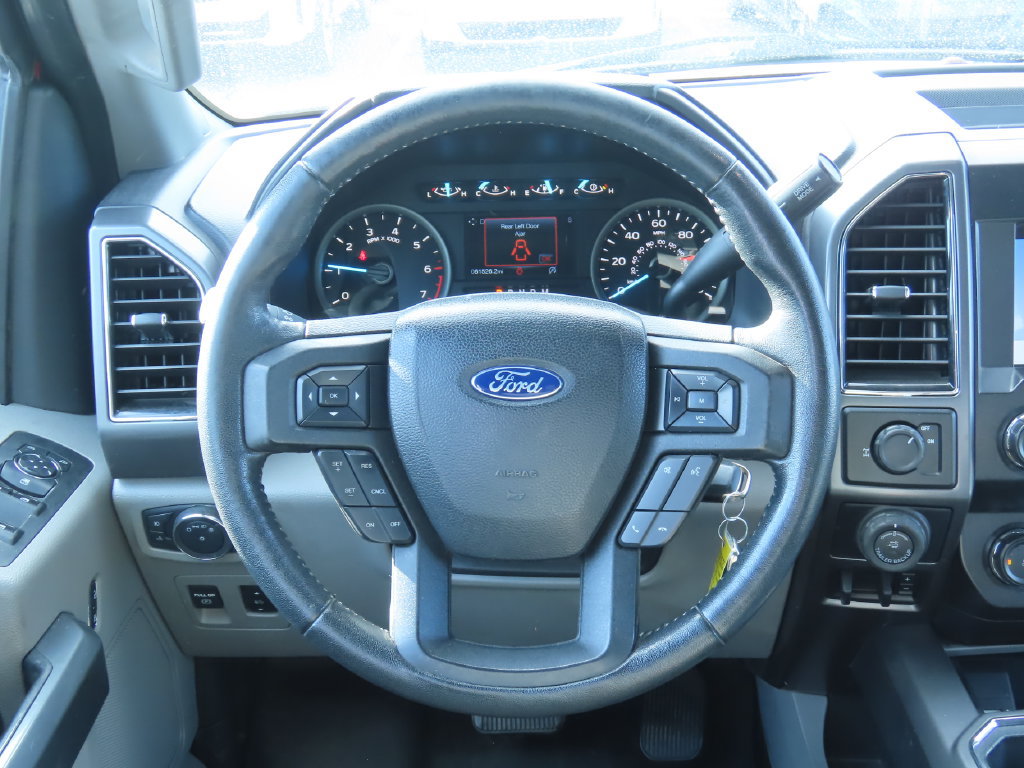 Used 2019 Ford F150 XLT w/ Equipment Group 302A Luxury RWD image 6