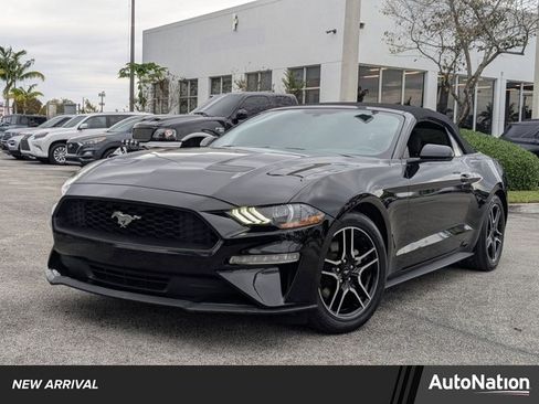Used 2019 Ford Mustang Convertible w/ Equipment Group 101A image 1