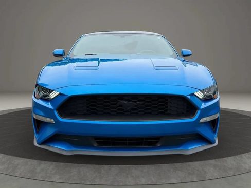 Used 2019 Ford Mustang Coupe w/ Equipment Group 101A RWD image 2