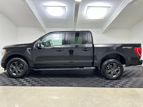 New 2023 Ford F150 XLT w/ Equipment Group 302A High AWD/4WD image 4