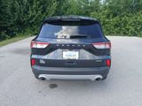 Used 2022 Ford Escape SE w/ Cold Weather Package image 4