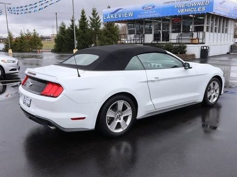 Used 2020 Ford Mustang Premium image 6