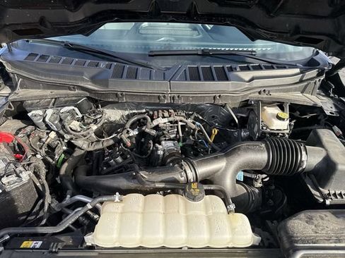 Used 2025 Ford F150 XLT w/ Equipment Group 301A Standard AWD/4WD image 19