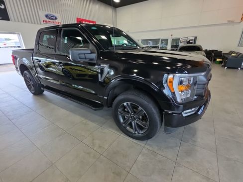 Used 2023 Ford F150 XLT w/ Equipment Group 302A High AWD/4WD image 6