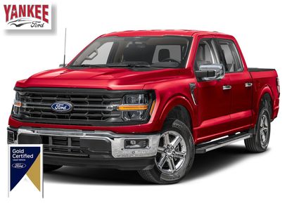 Used 2025 Ford F150 XLT w/ Equipment Group 302A MID