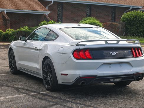 Used 2019 Ford Mustang Premium w/ Ecoboost Performance Package RWD image 4