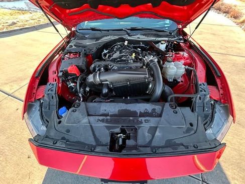 Used 2024 Ford Mustang Premium image 24