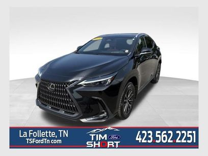 Used 2024 Lexus NX 350h AWD