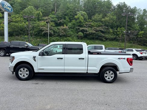 Used 2023 Ford F150 XLT w/ Equipment Group 301A Mid AWD/4WD image 2