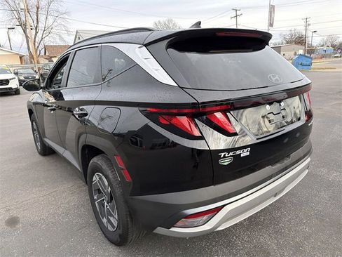 Used 2025 Hyundai Tucson Blue image 6