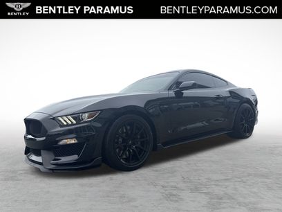 Used 2018 Ford Mustang Shelby GT350 w/ Convenience Package