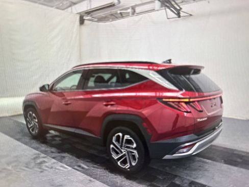 Used 2025 Hyundai Tucson Limited image 3