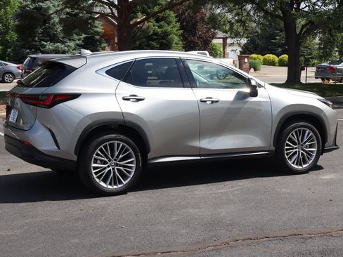 Used 2025 Lexus NX 350 AWD w/ Cold Area Package image 4