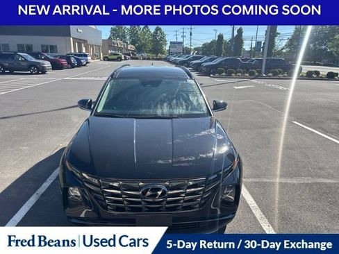 Used 2023 Hyundai Tucson Limited AWD/4WD image 2