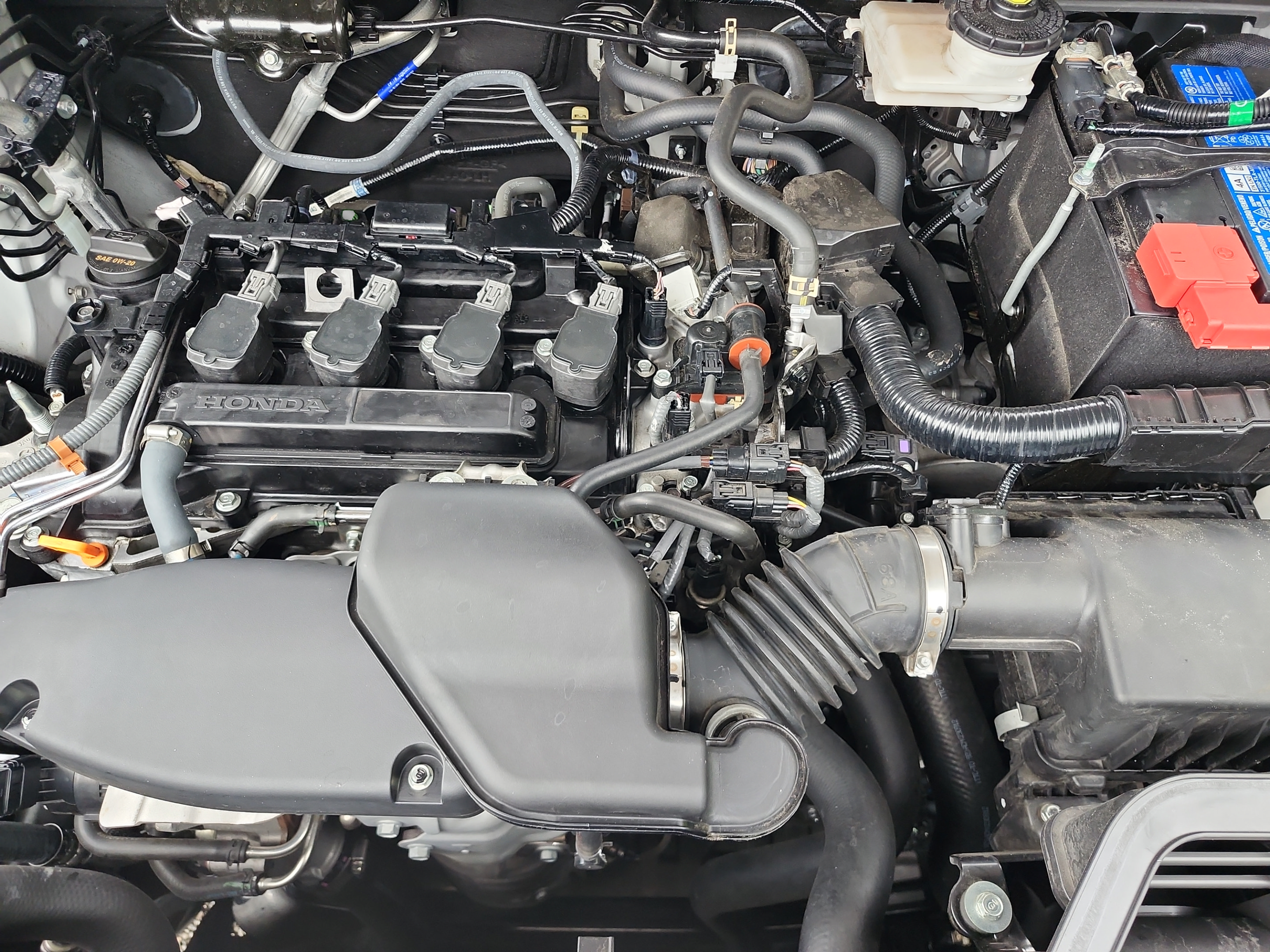 Certified 2024 Honda CR-V EX image 23