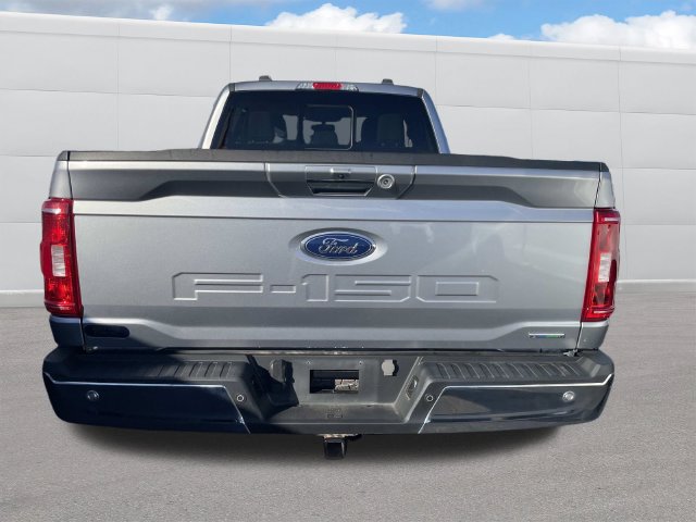 Used 2023 Ford F150 XLT w/ Equipment Group 302A High AWD/4WD image 4