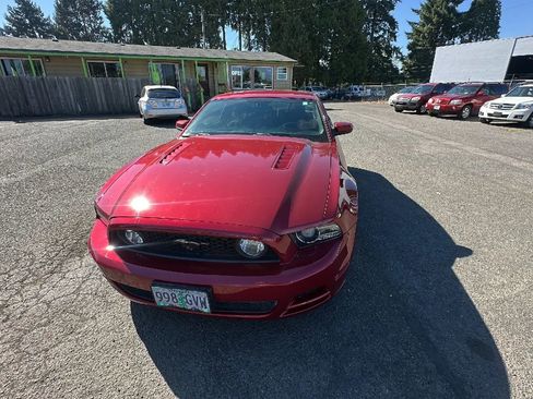 Used 2014 Ford Mustang GT w/ Equipment Group 301A image 7