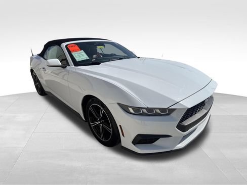 Used 2024 Ford Mustang Premium RWD image 3