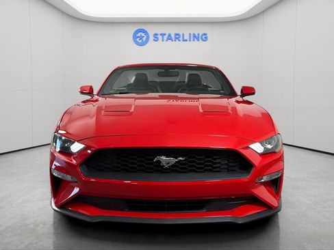 Used 2020 Ford Mustang Premium RWD image 15