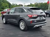 Used 2020 Ford Escape SE image 4
