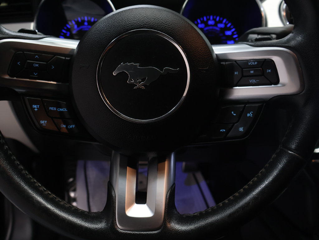 Used 2017 Ford Mustang Premium w/ Equipment Group 201A RWD image 17