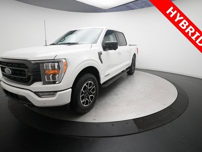 Used 2023 Ford F150 XLT w/ Equipment Group 302A High
