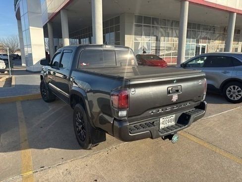 Used 2022 Toyota Tacoma Limited w/ Nightshade Package image 6